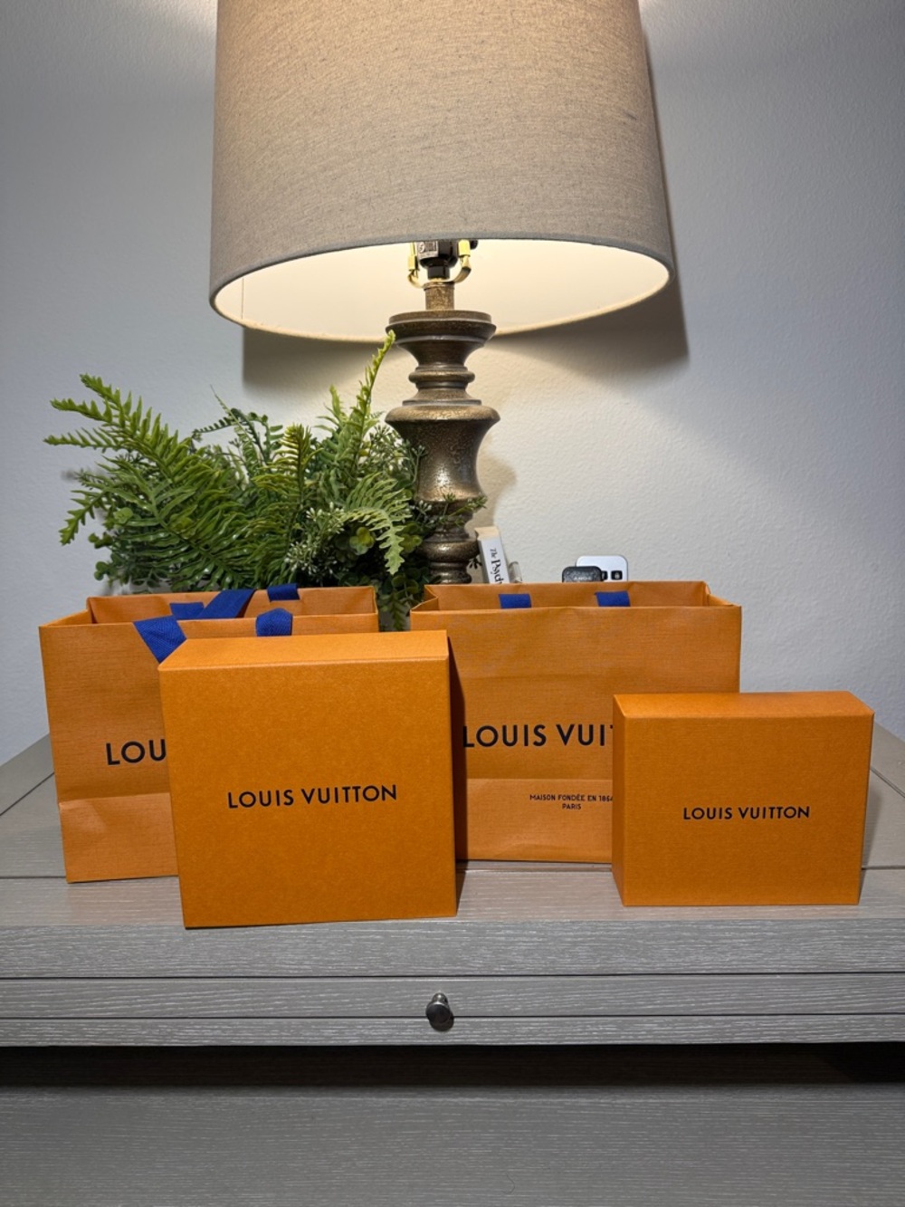Empty Louis Vuitton Boxes and Bags